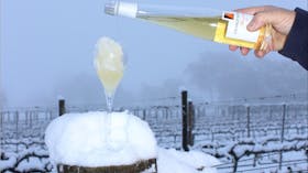 Mountain Ice Viognier in the snow August 2015
