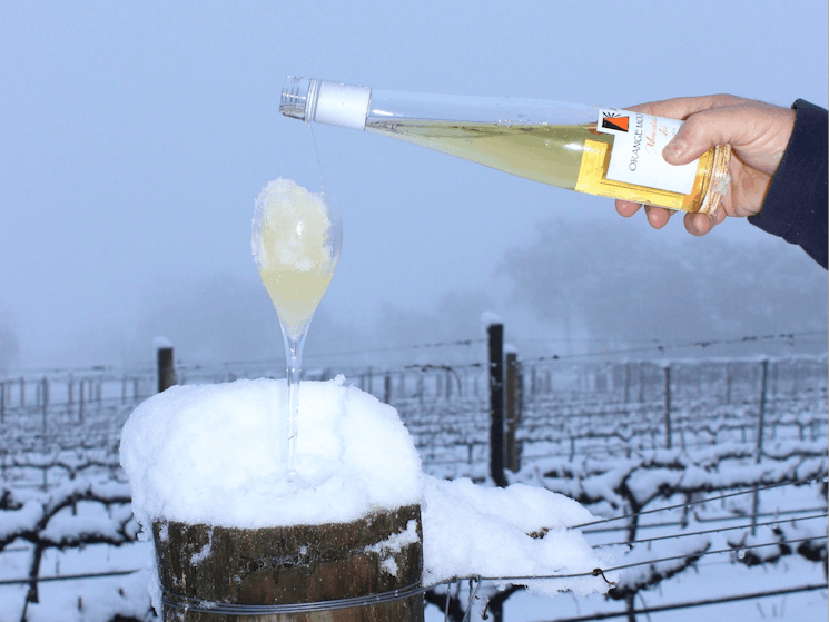 Mountain Ice Viognier in the snow August 2015