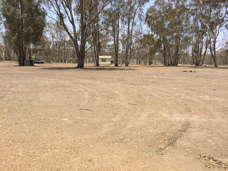 Campground with trees in background