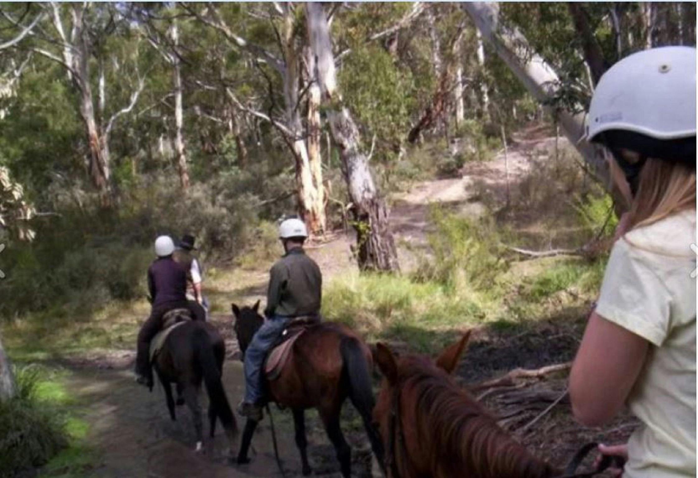 Enjoy a ride through the Snowy Mountains country