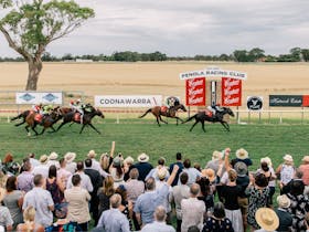 The Penola Racecourse plays host to the Coonawarra Vignerons Cup Day in January each year
