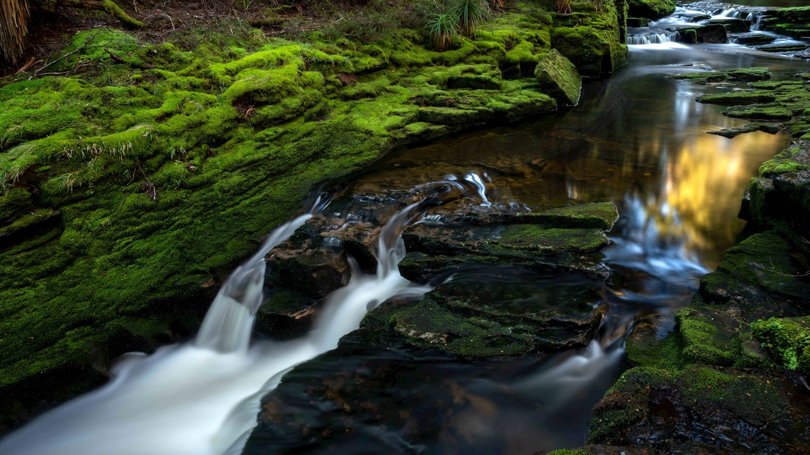 Overland Track Falls