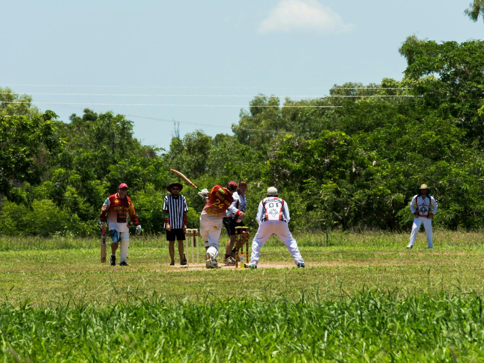 Goldfield Ashes