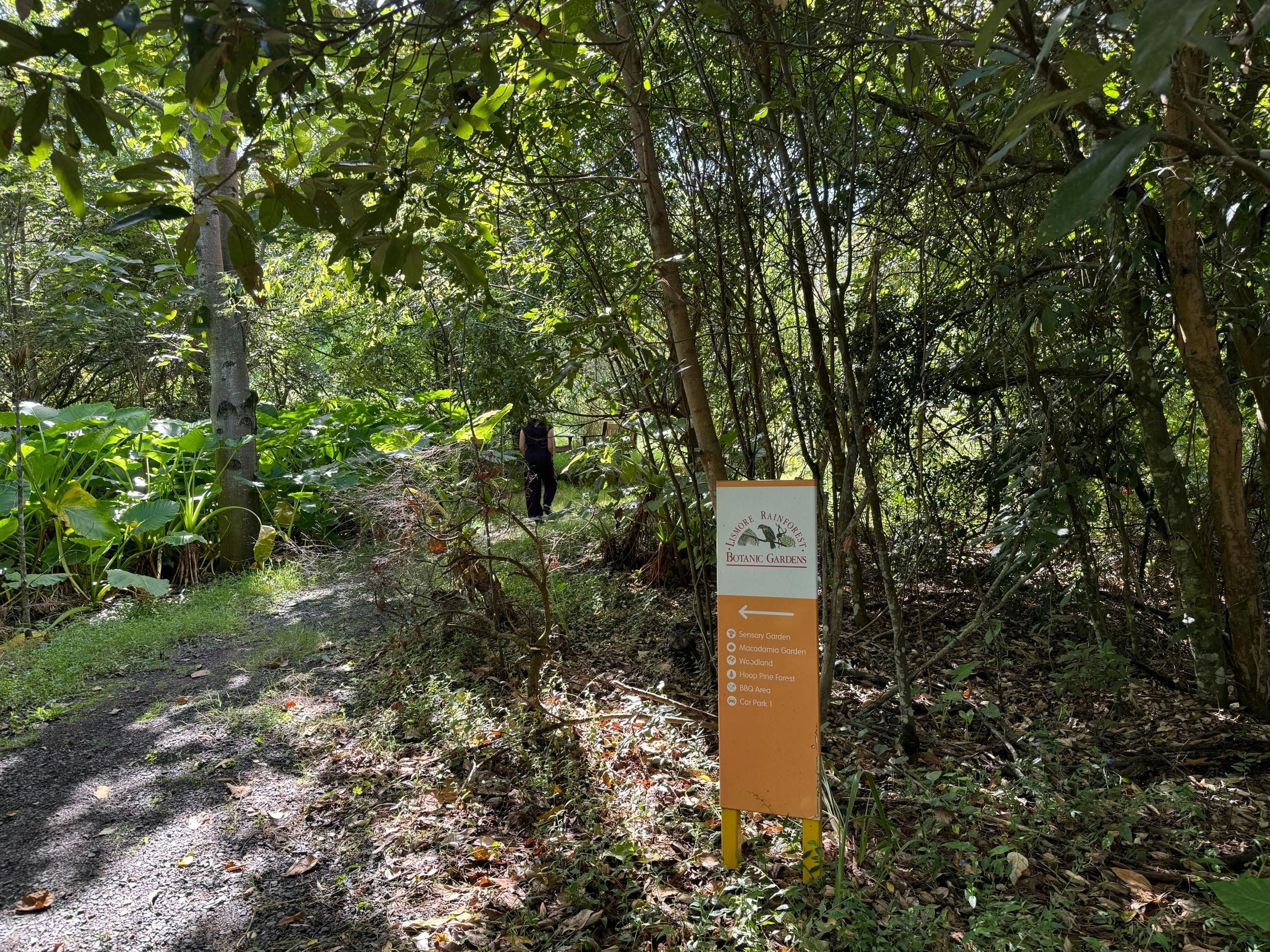 Guided walk in the Rainforest Botanic Gardens