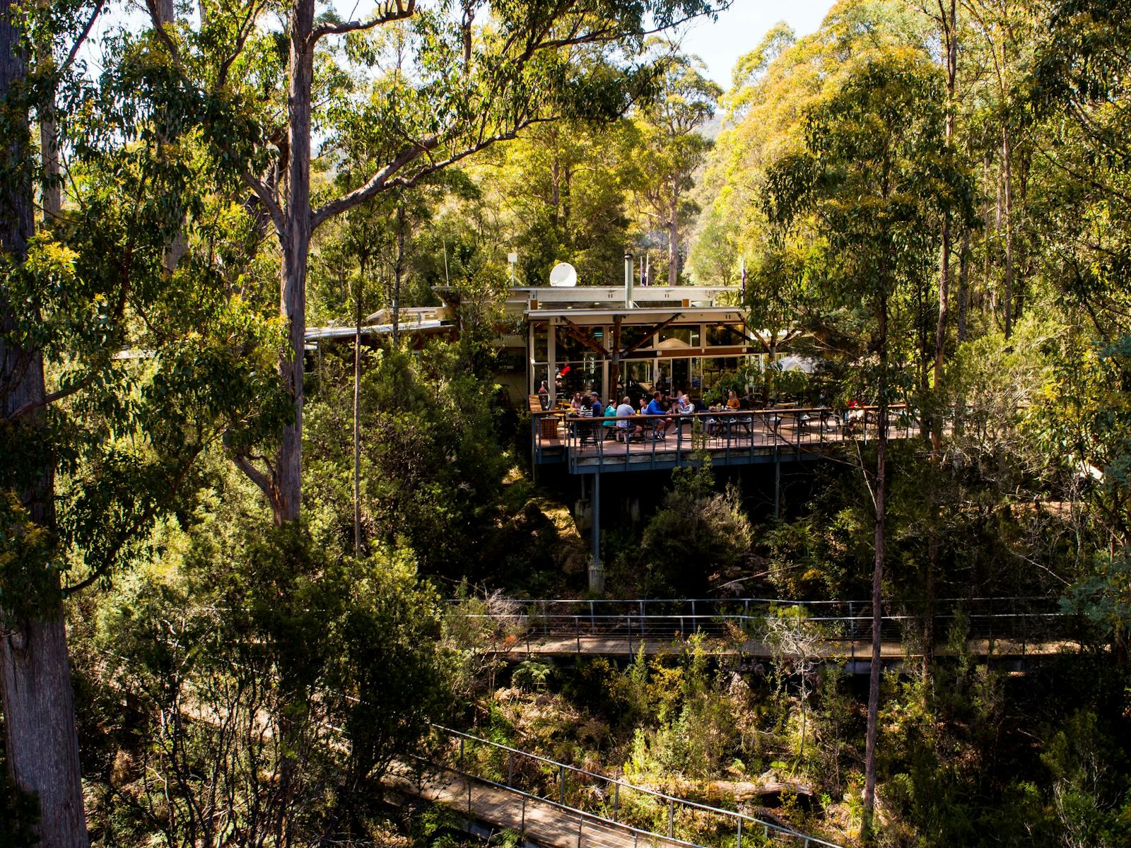 Tahune Adventures Visitor Centre and cafe complex - Arve Rd. Geeveston Tasmania