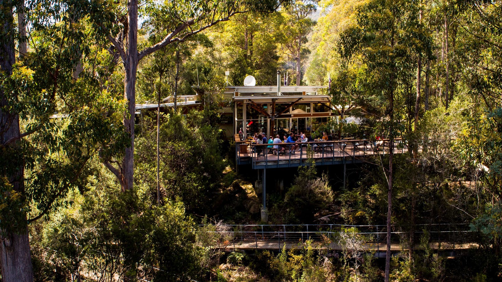 Visitor Centre and Cafe - Tahune Adventures Tasmania