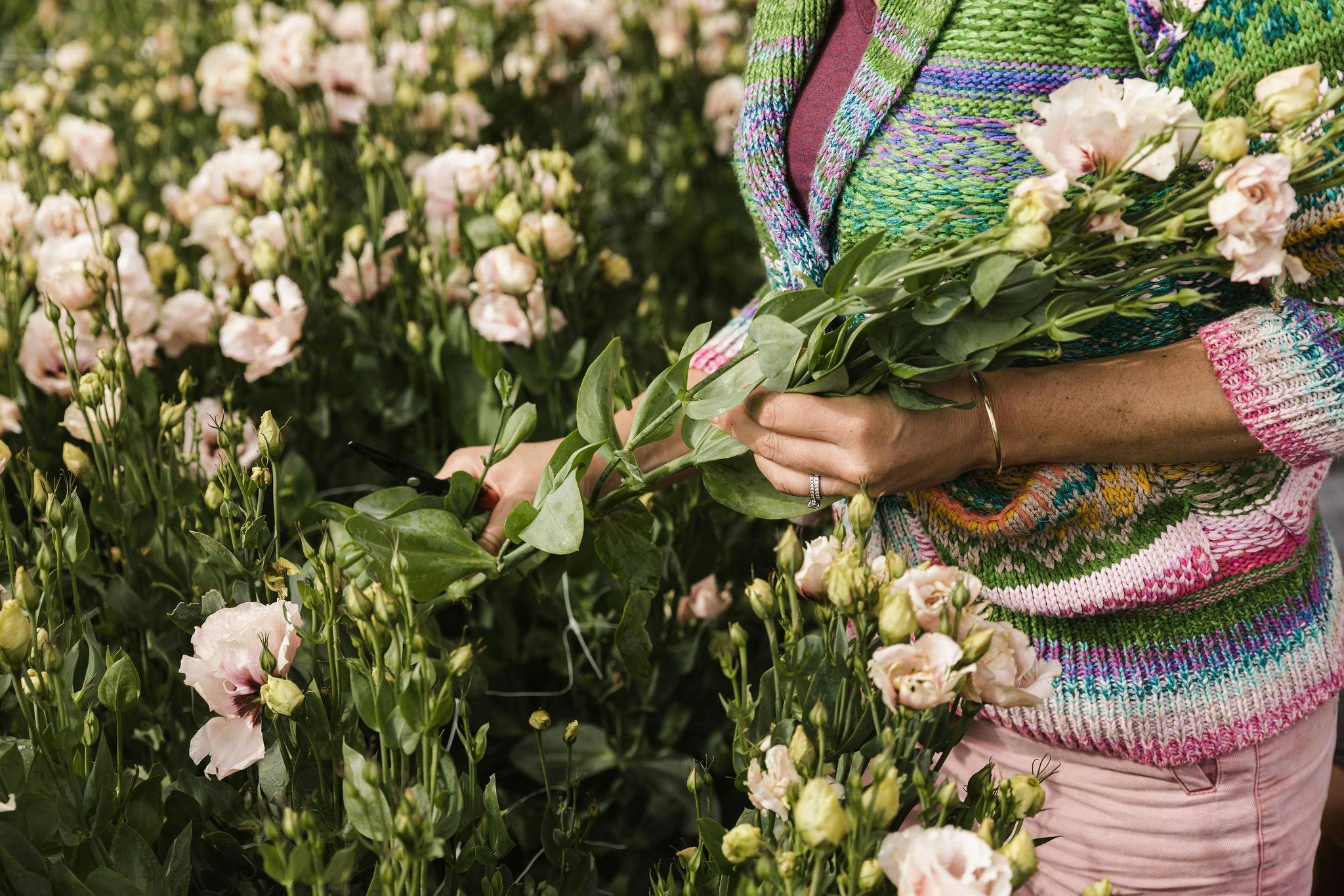 The Flower Farm