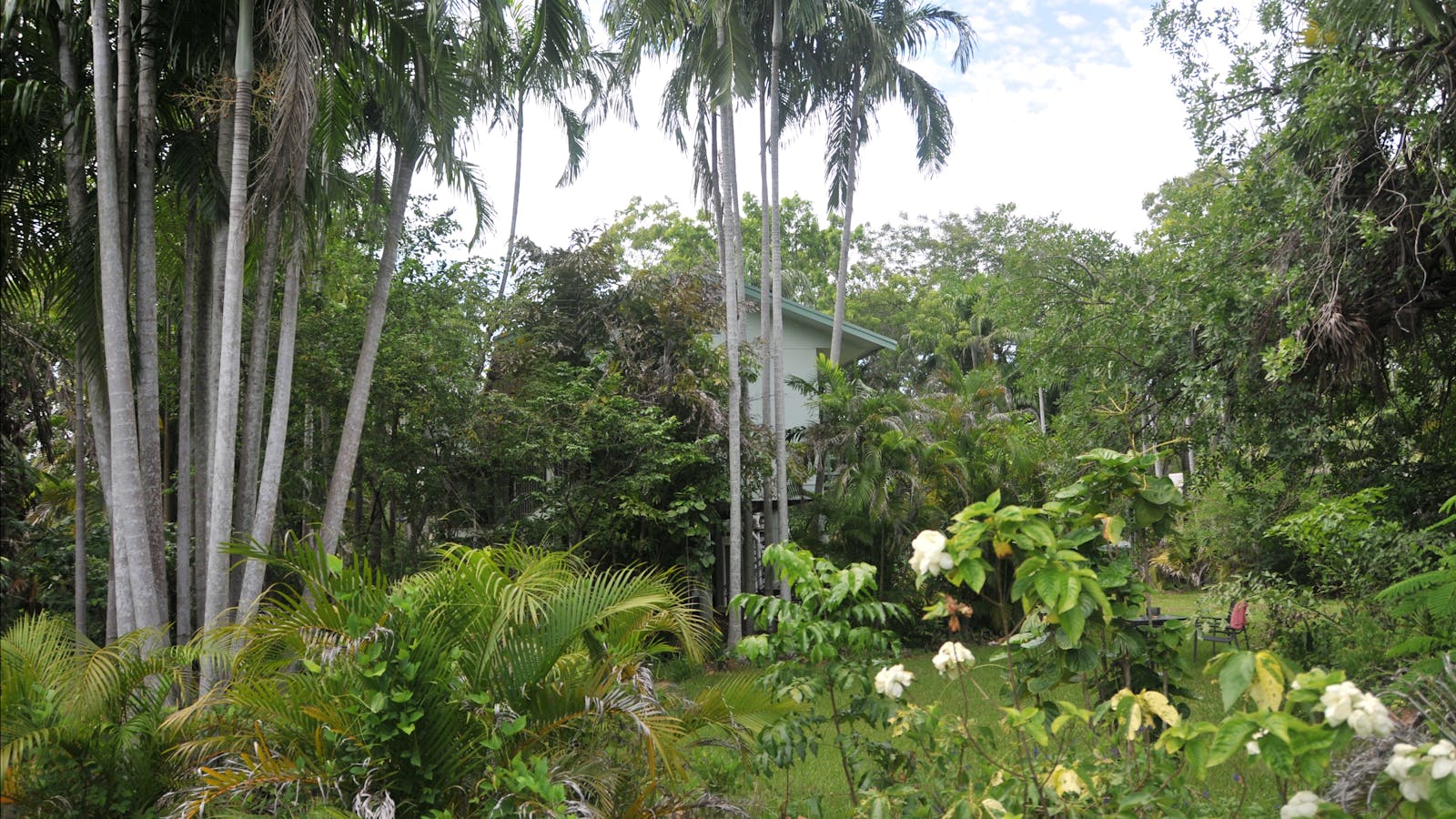 Rum Jungle Mine Manager’s House