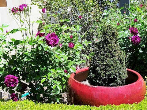 Armidale Pines Motel