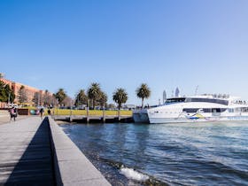 Port Phillip Ferries docked right on Geelong's Waterfront