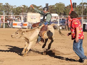 Annual Hay Rodeo Cover Image