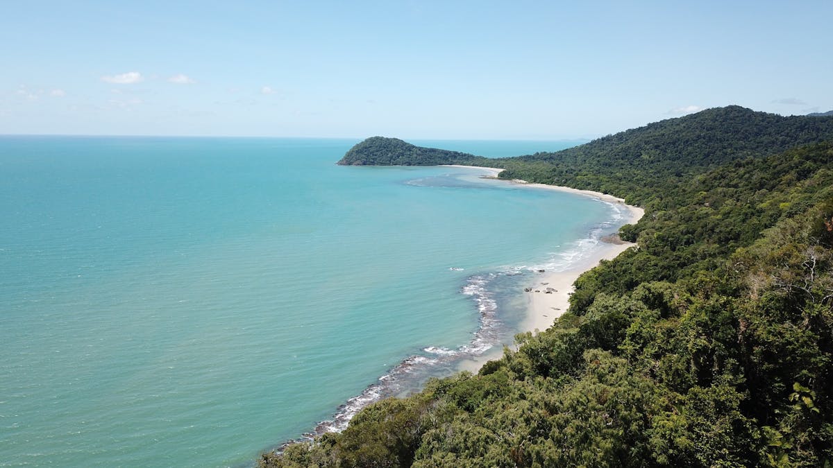 Daintree Rainforest Tour