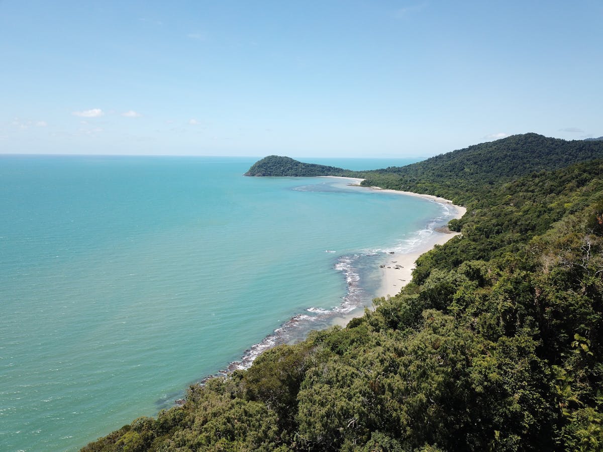 Daintree Rainforest Tour