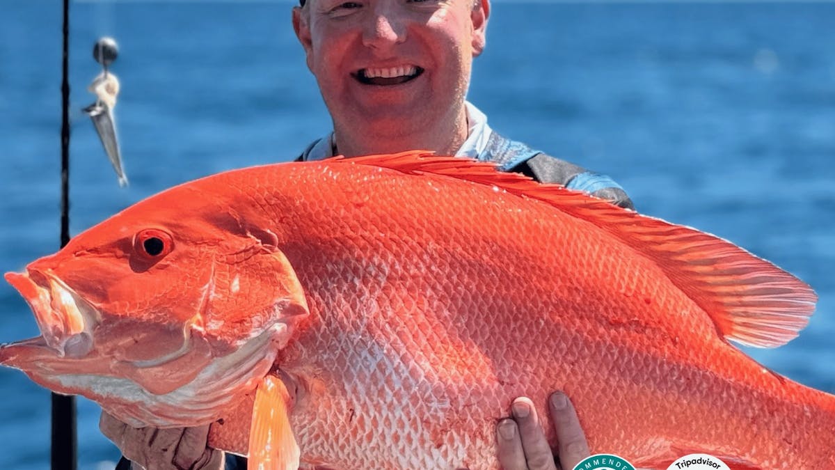 cairns reef fishing