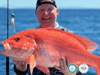 cairns reef fishing