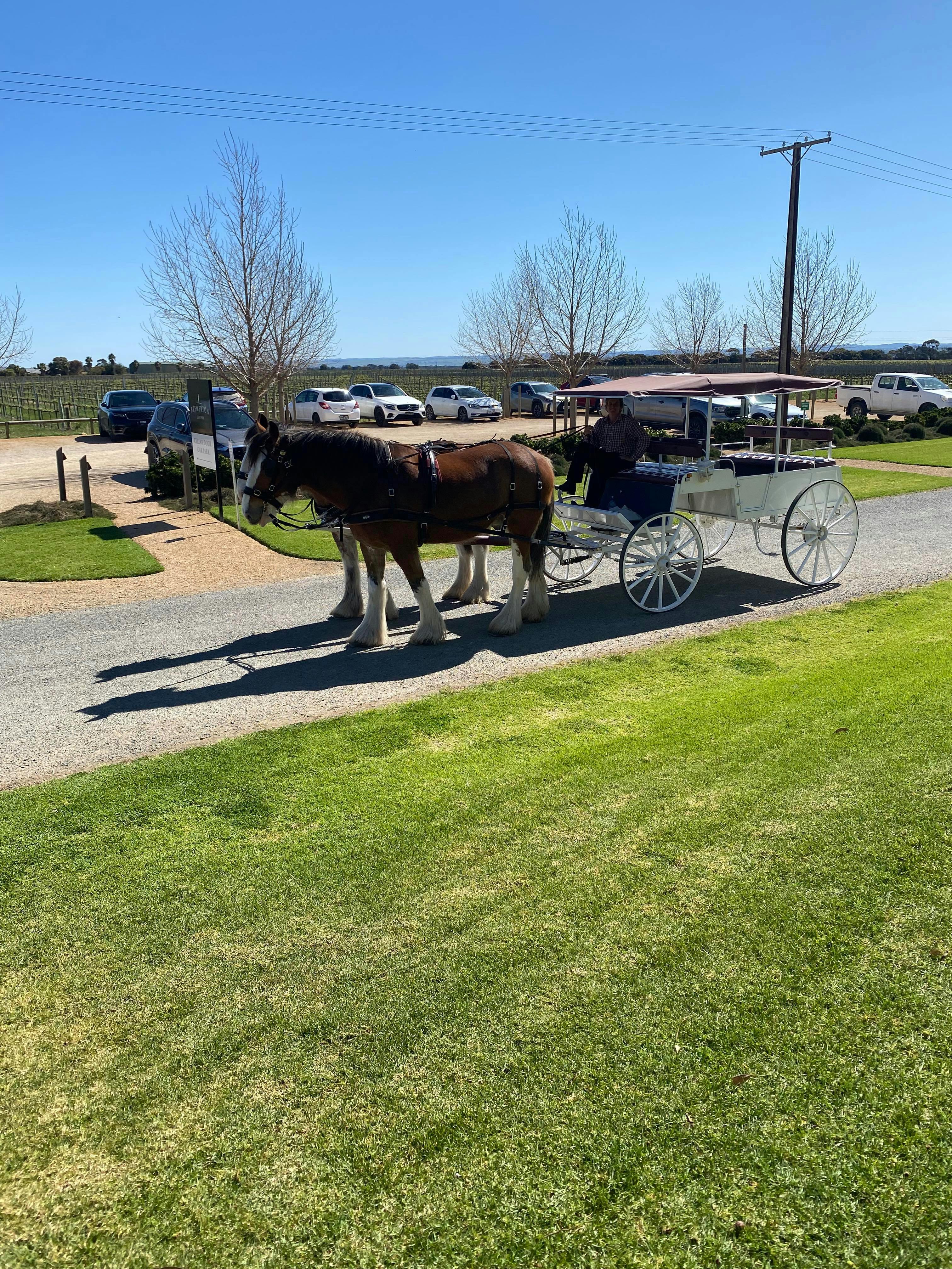 Travel between cellar doors in Style