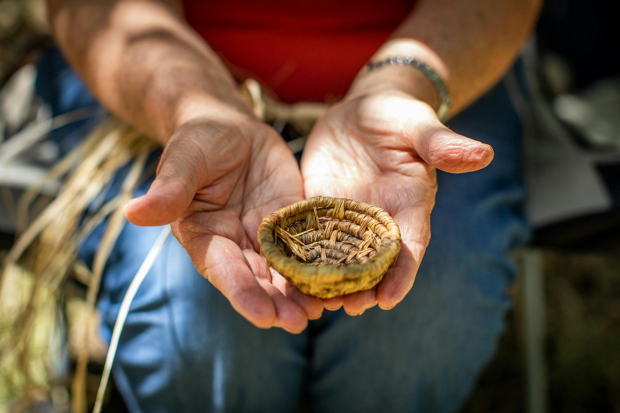 Bush Tucker & Traditional Aboriginal Weaving with Wolgalu Footprints
