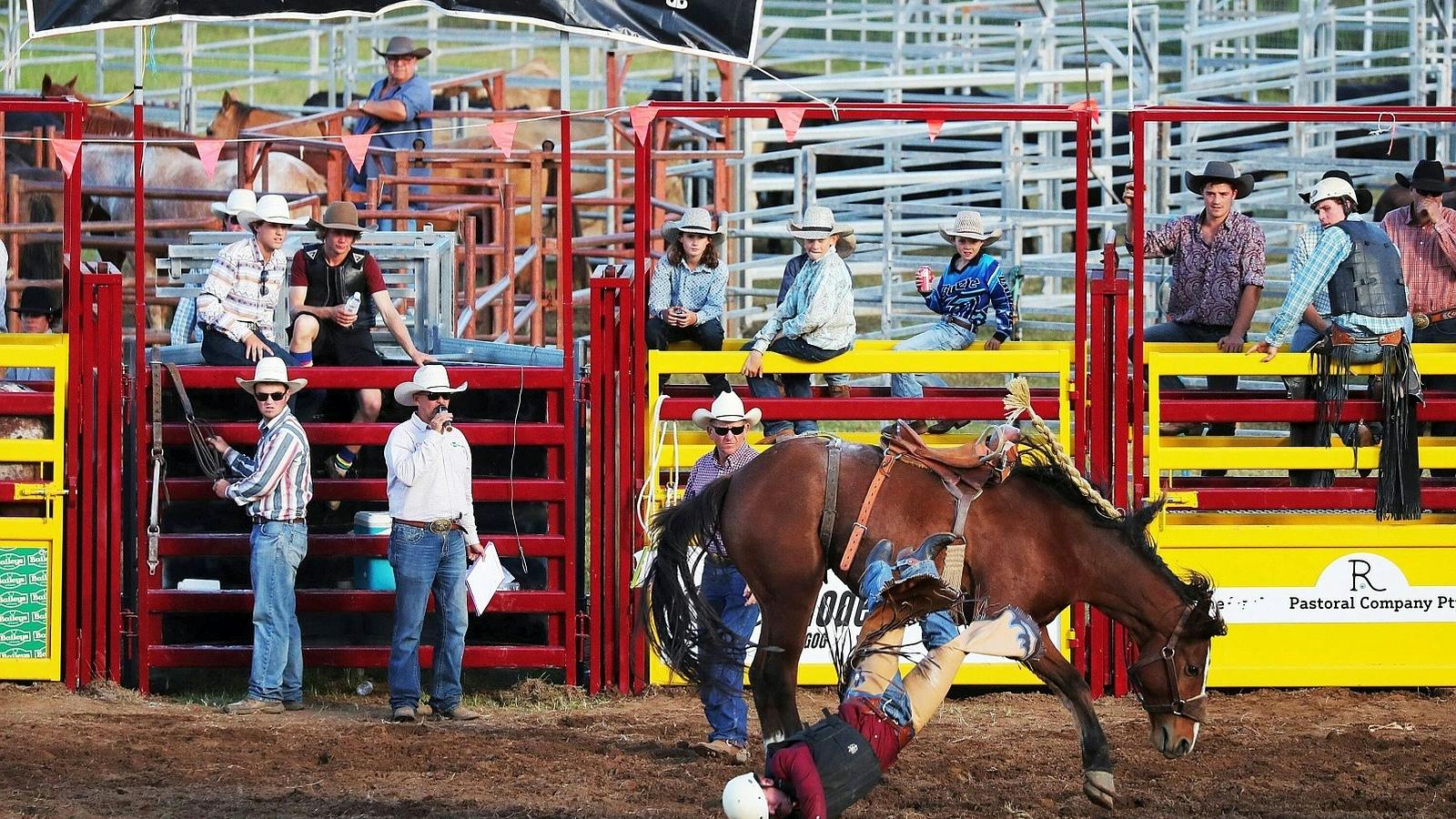 Cadogan Rodeo Dungog Rodeo - Creative Valleys