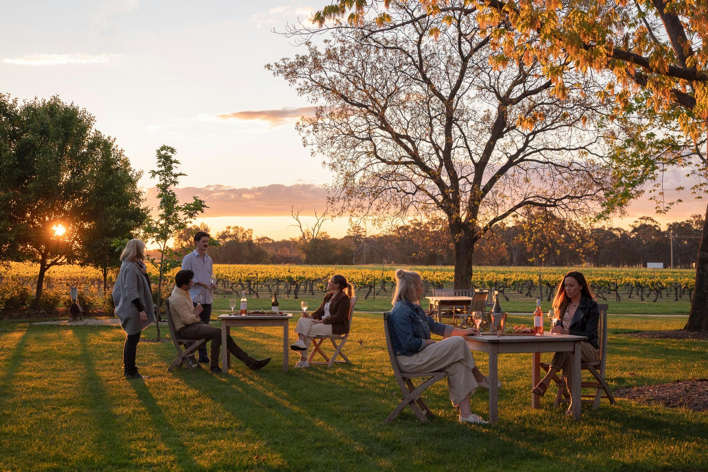 Campbells Wines Sunset Drinks