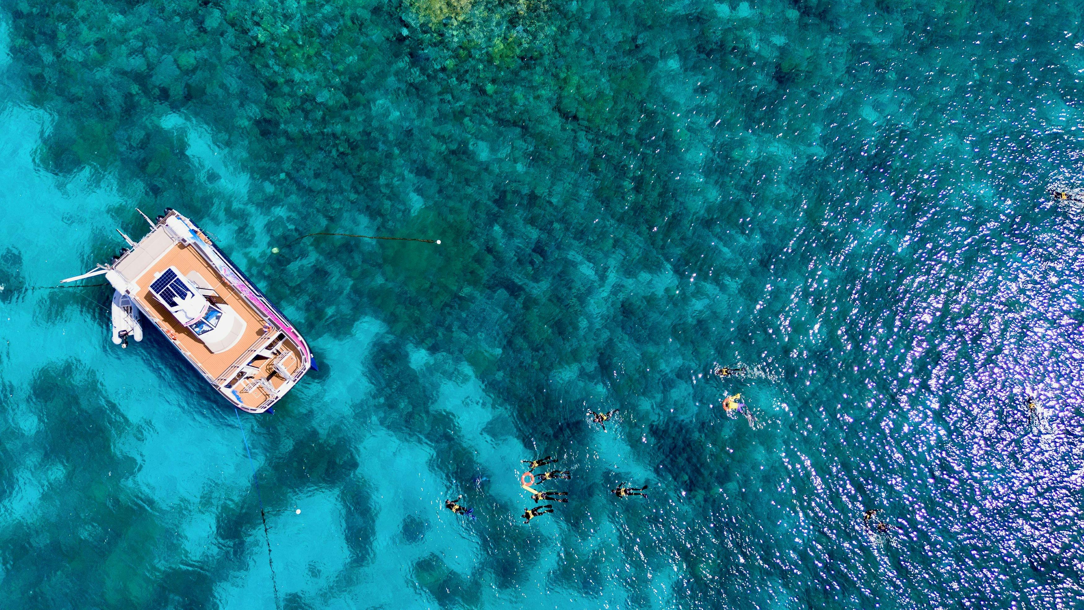 Pure Snorkelling Half Day Great Barrier Tour