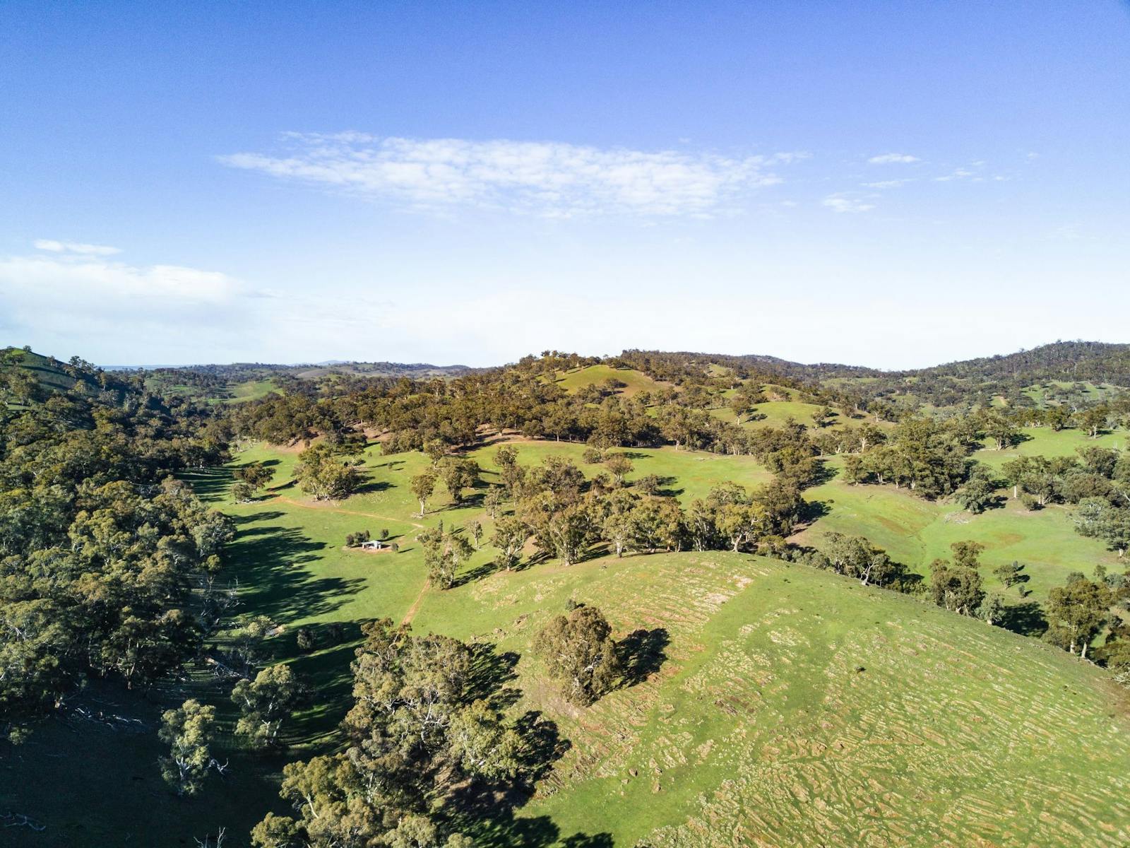 Birds-eye view of Mount Remarkable National Park