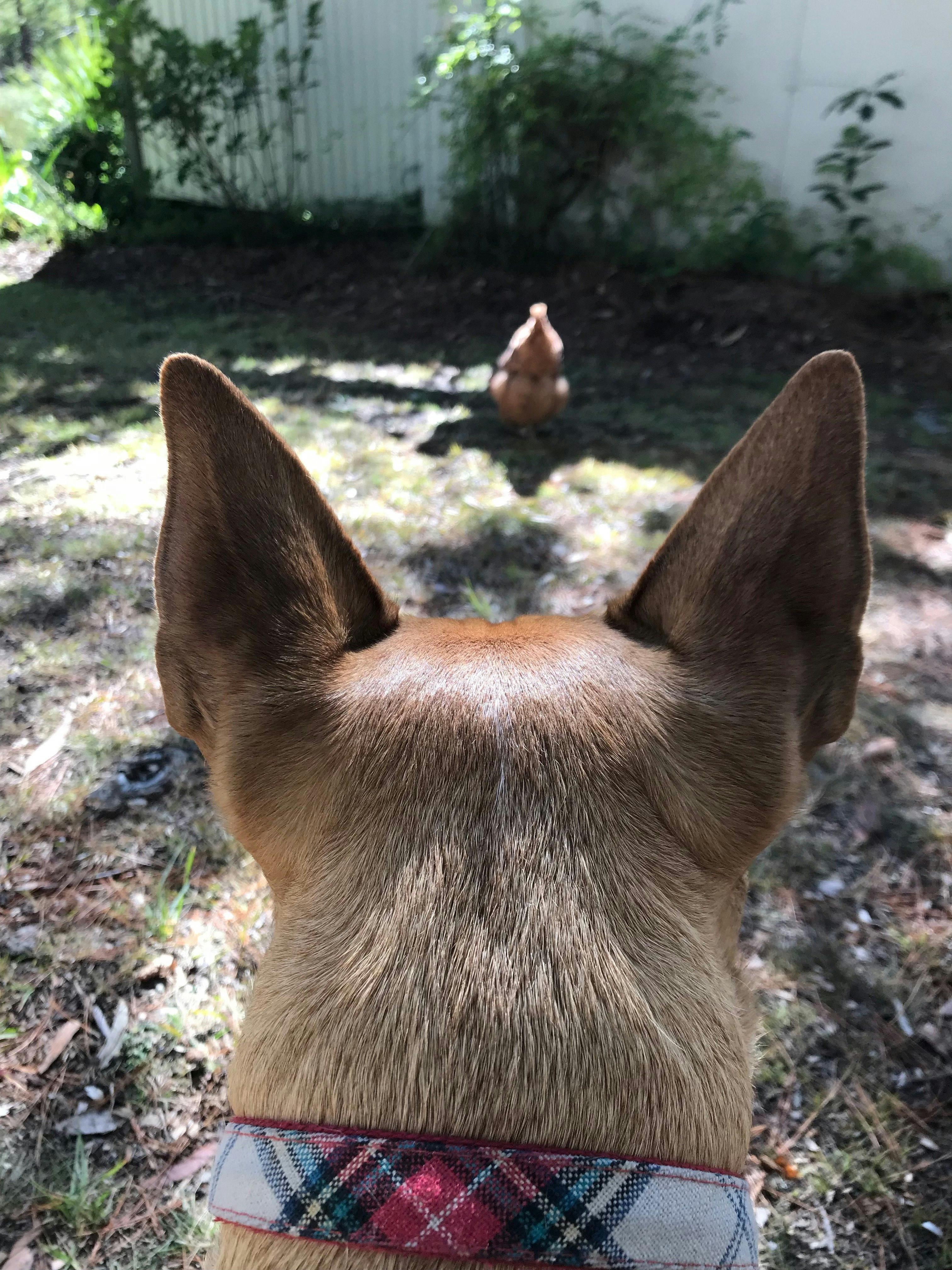 赤ちゃんを置き去りにしないでください。足を伸ばして新鮮な空気を楽しんでください。