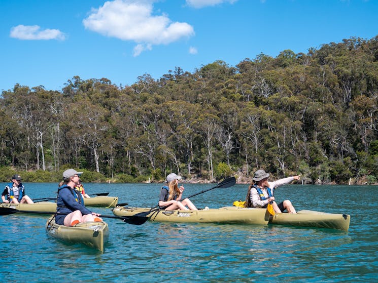 Guests Kayaking and guide pointing out wildlife
