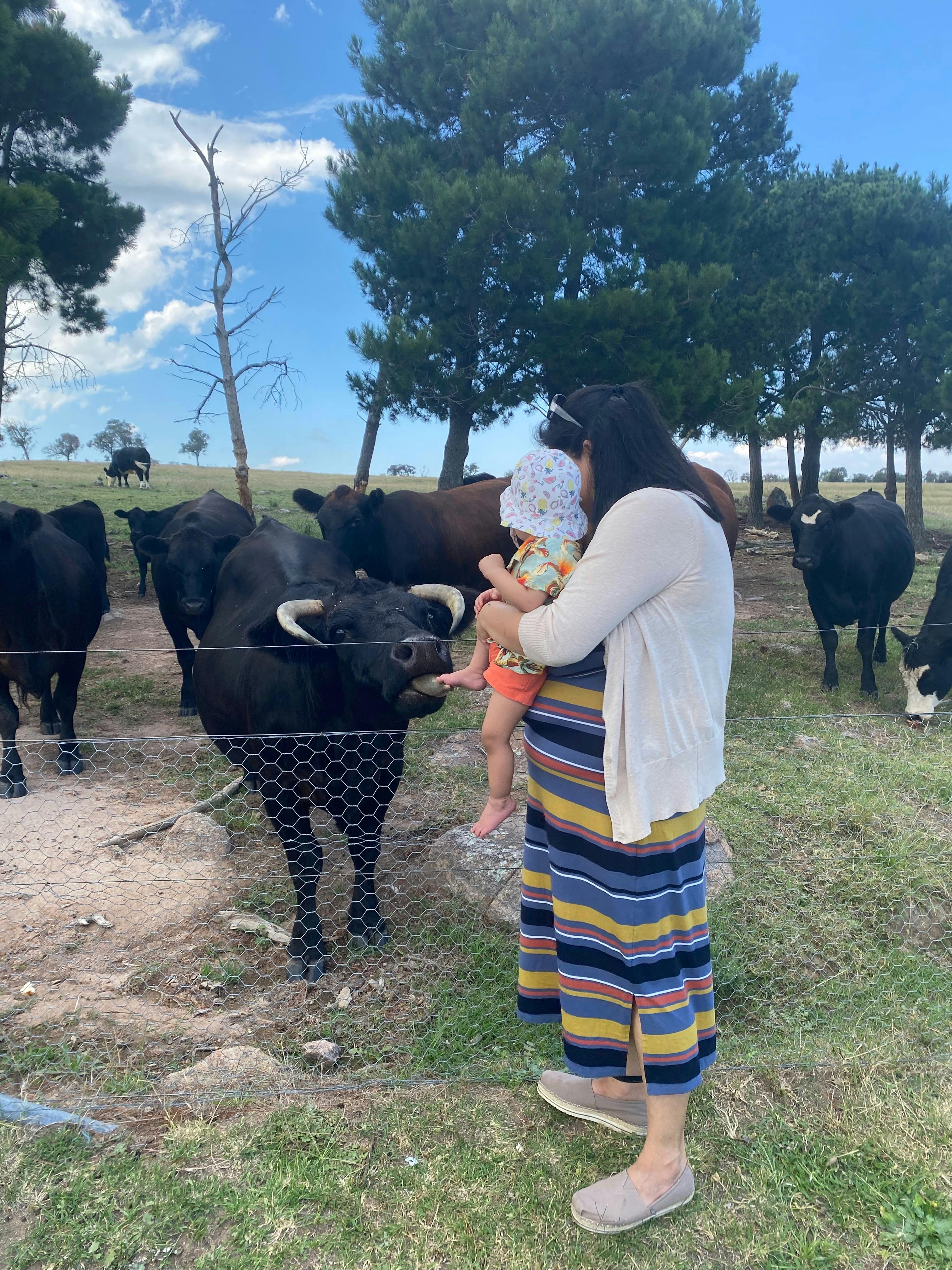 Babylon Farm