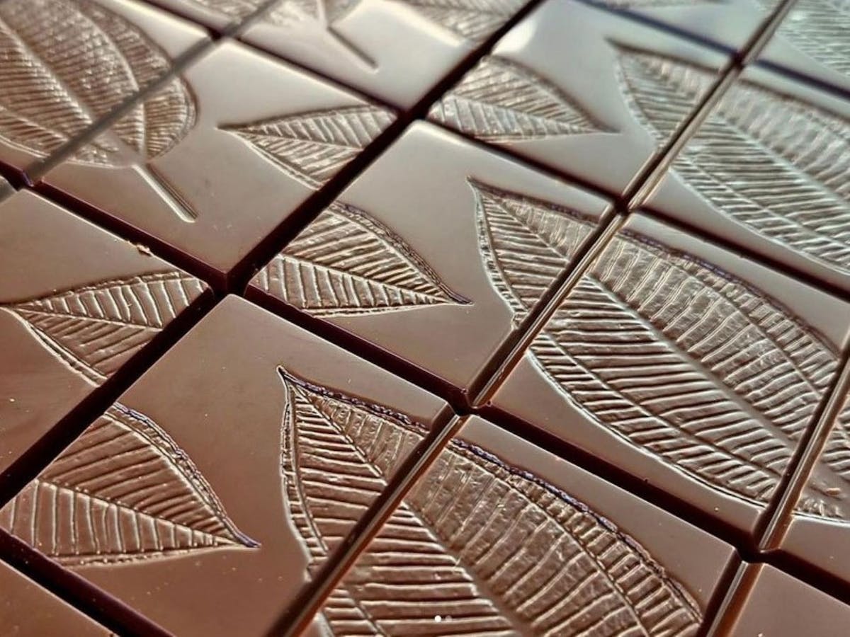 chocolate