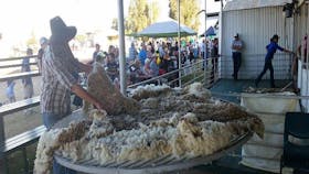 Narrabri Show