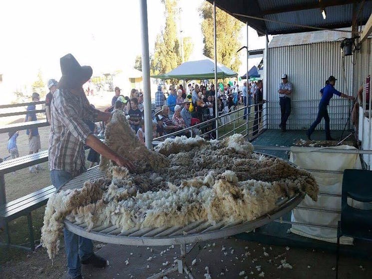 Narrabri Annual Show