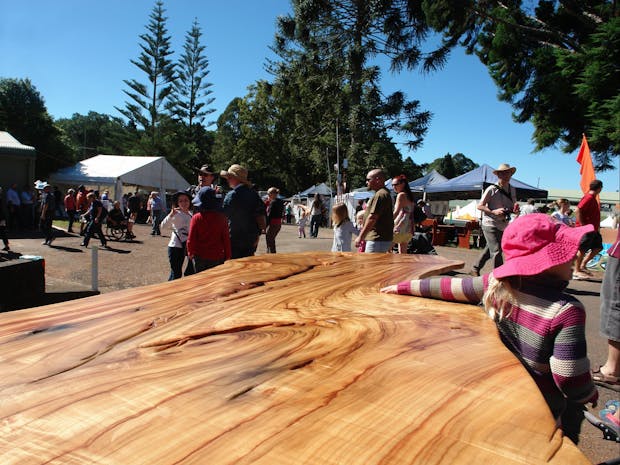 Maleny Wood Expo: From Seed to Fine Furniture