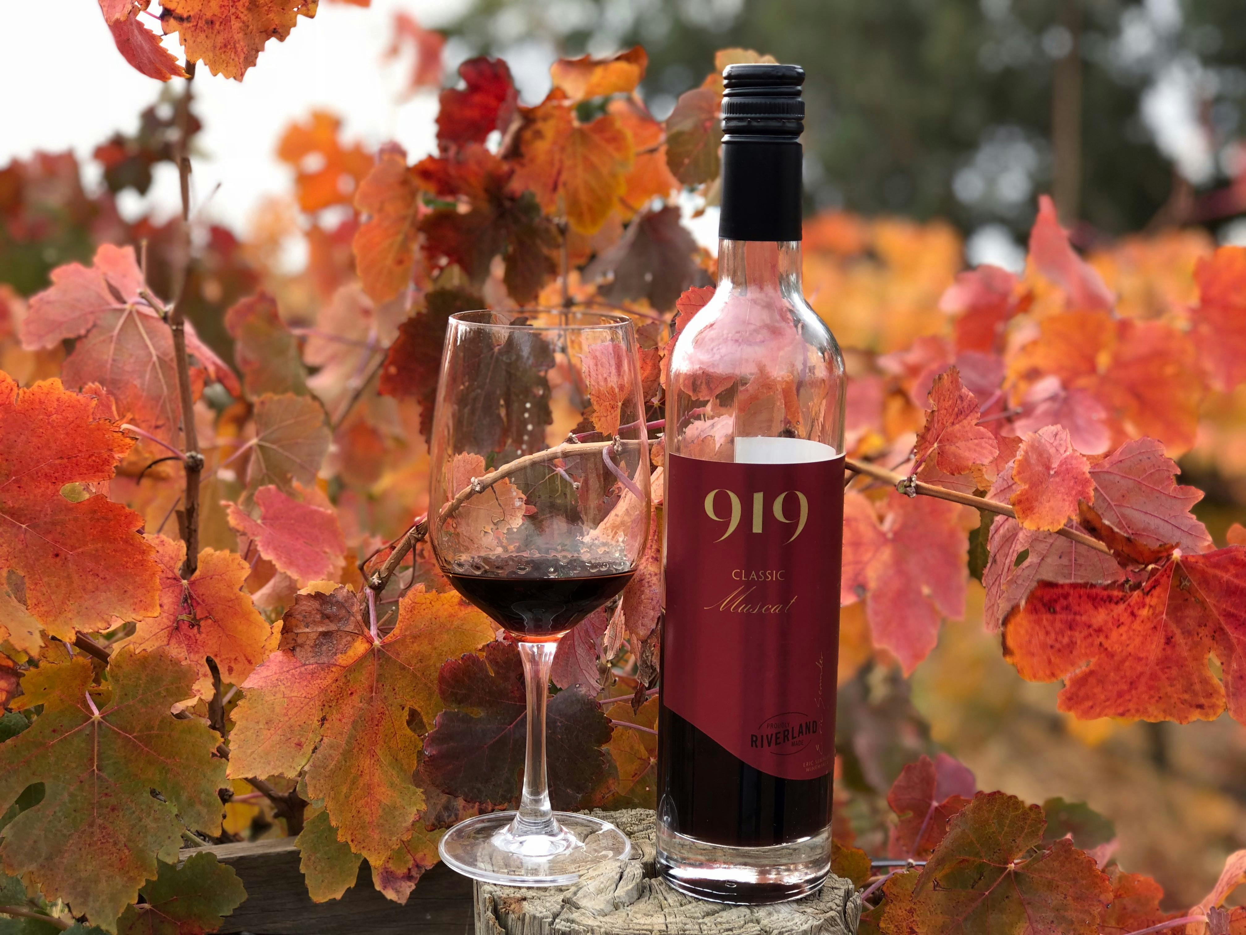 Classic Muscat in the 919 Wines vineyard, bottle and glass