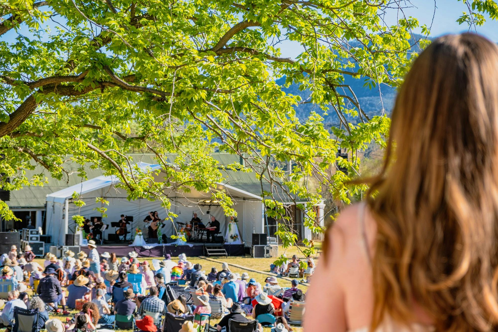 Person watching CSO perform at Live at Lanyon with large picnicking crowd