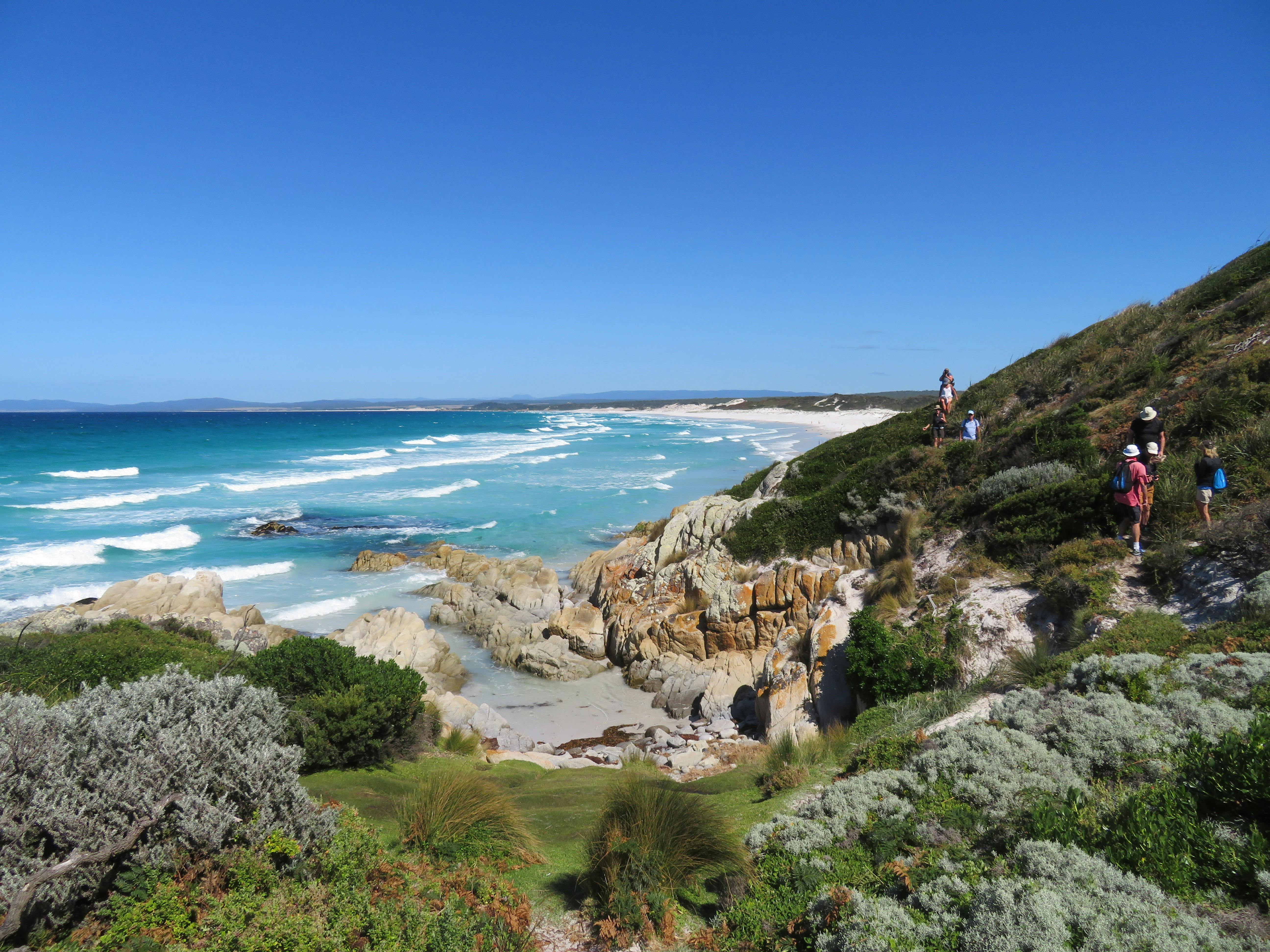 The group on the trail - Bay of Fires Pack-Free Walk by Life's An Adventure