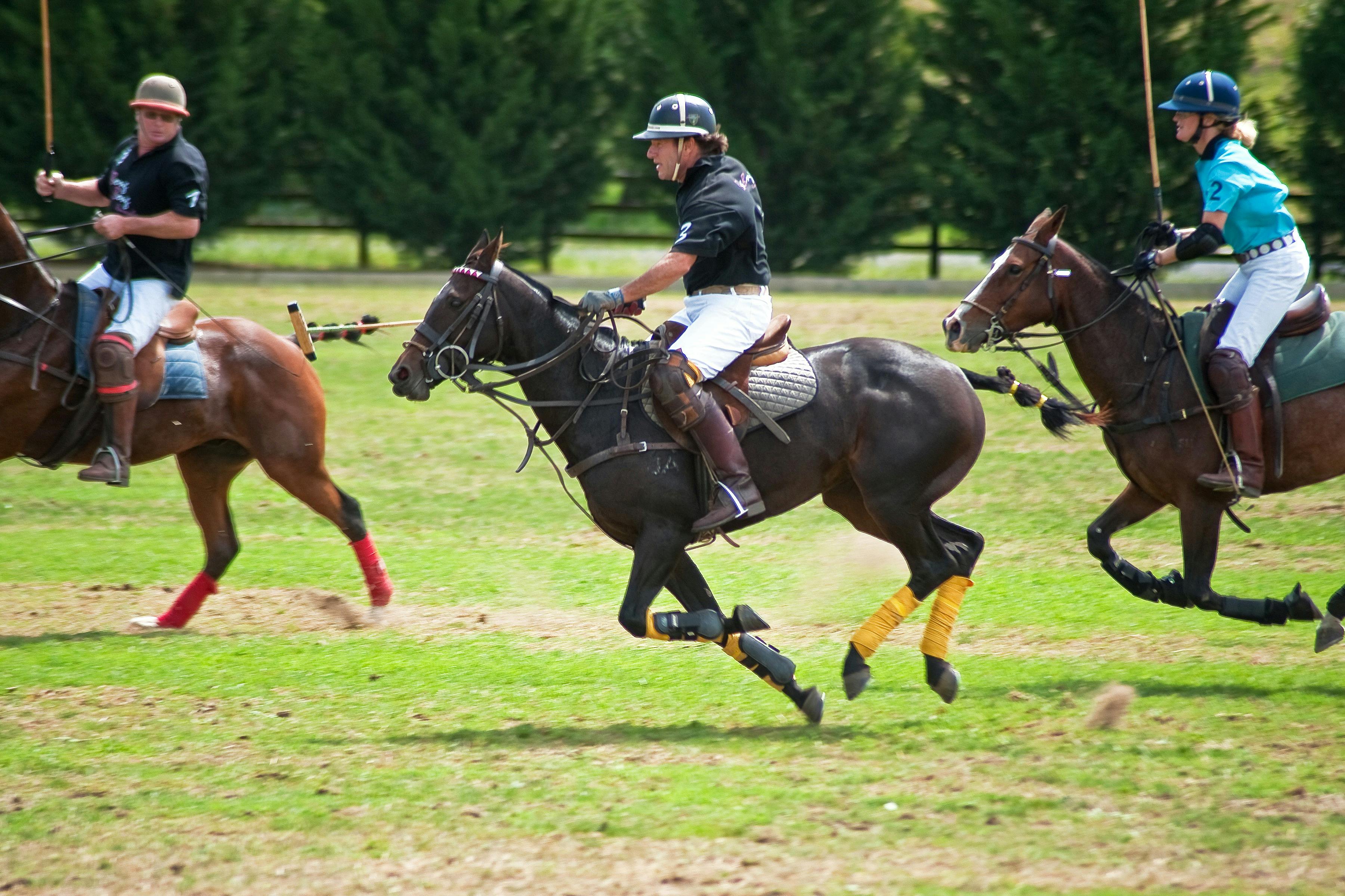 Image for Millamolong Country Classic Polo Tournament