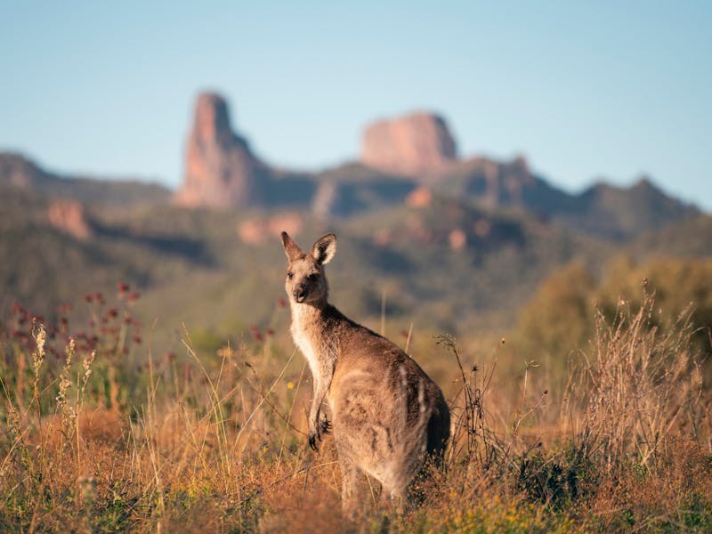 Image for Warrumbungles & Pilliga Supported Cycle Tour