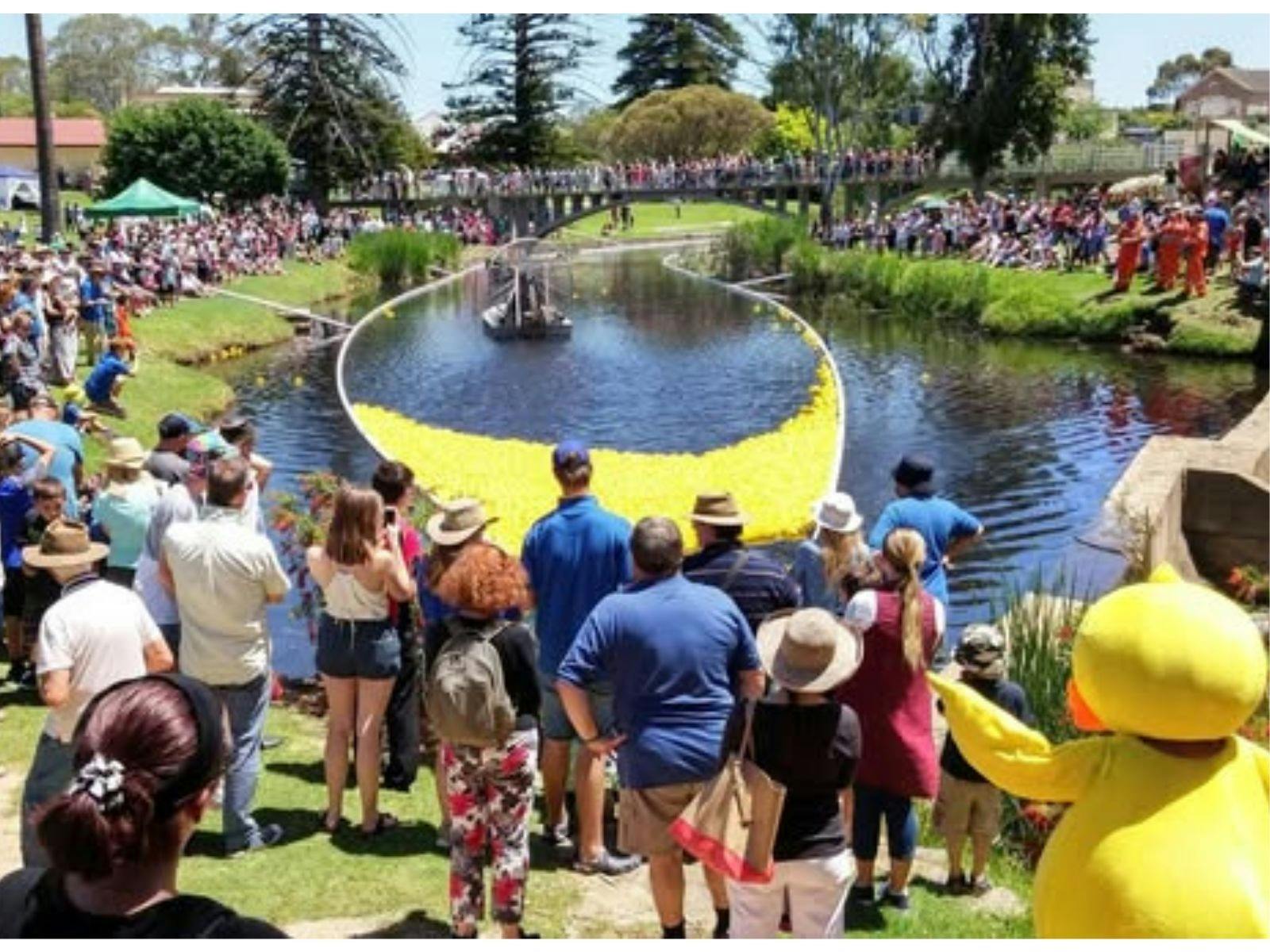 The Duck Race in action