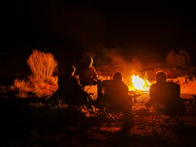 Camel Treks Australia Safaris in Outback Australia