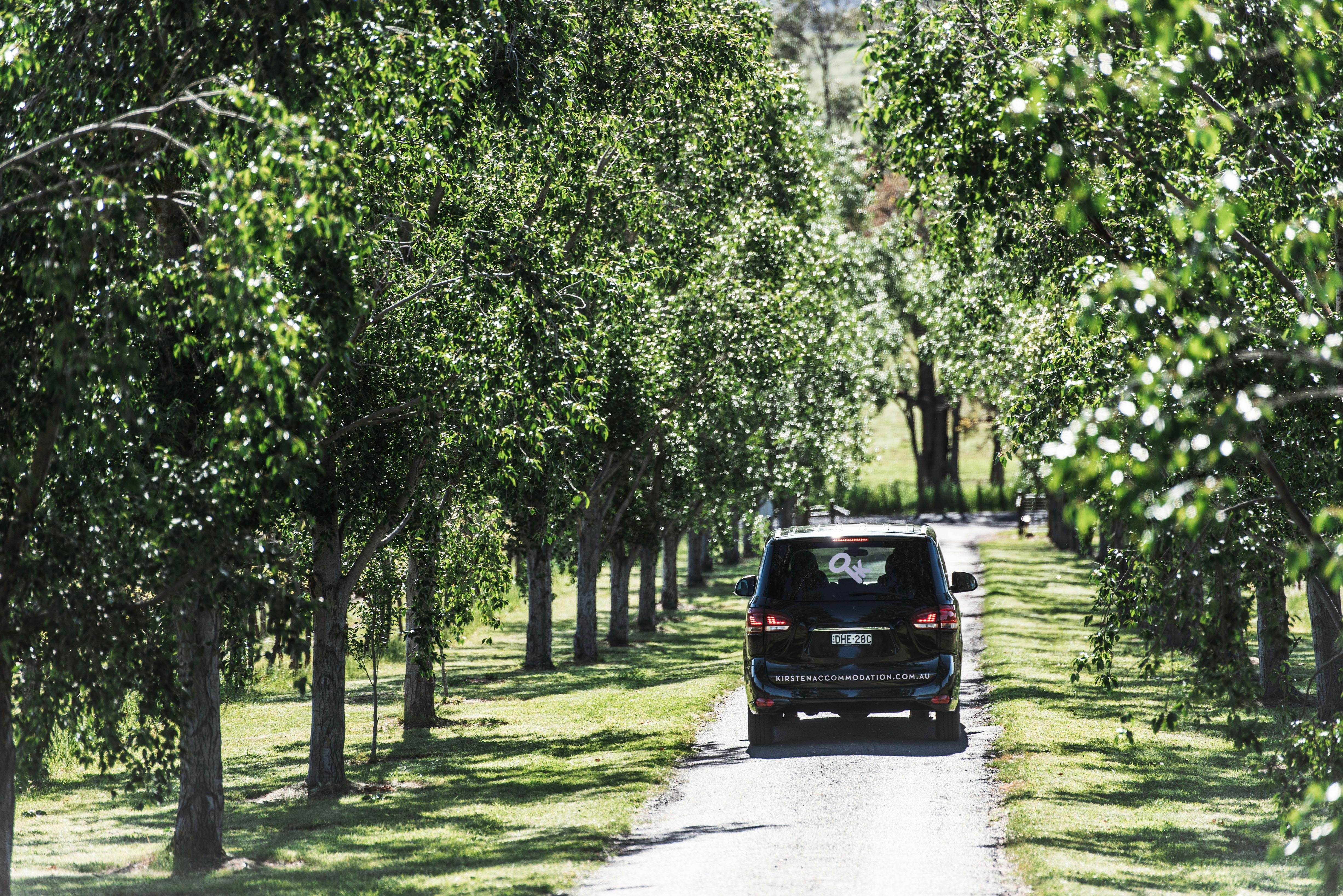 Bespoke Tours Mudgee Half Day Wine Tour exploring country side