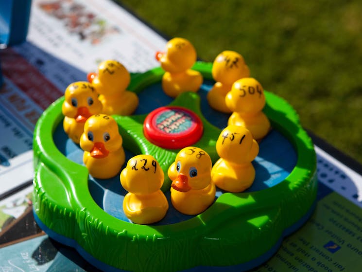 close up photo of toy ducks