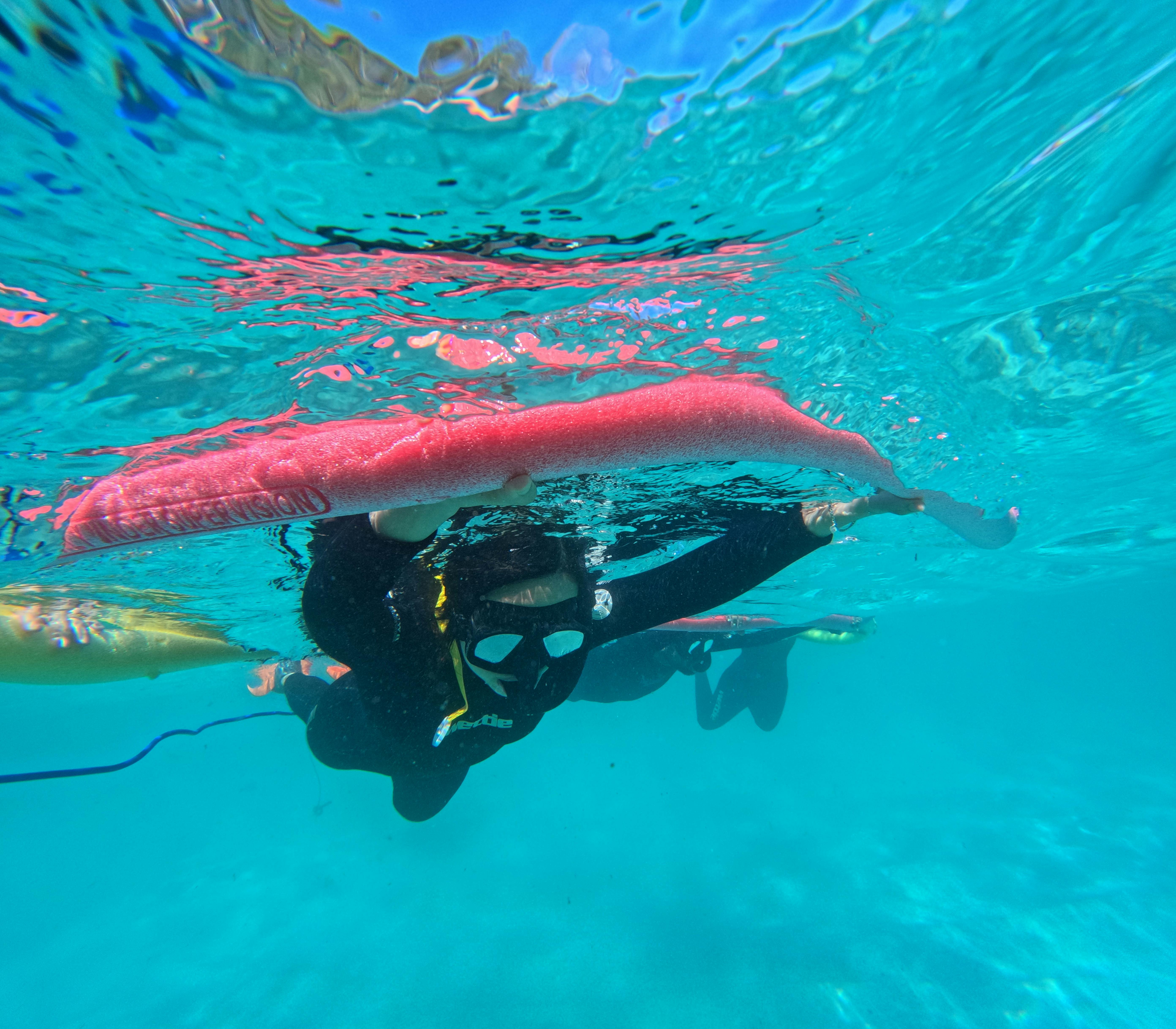 Snorkelling tour Jervis Bay