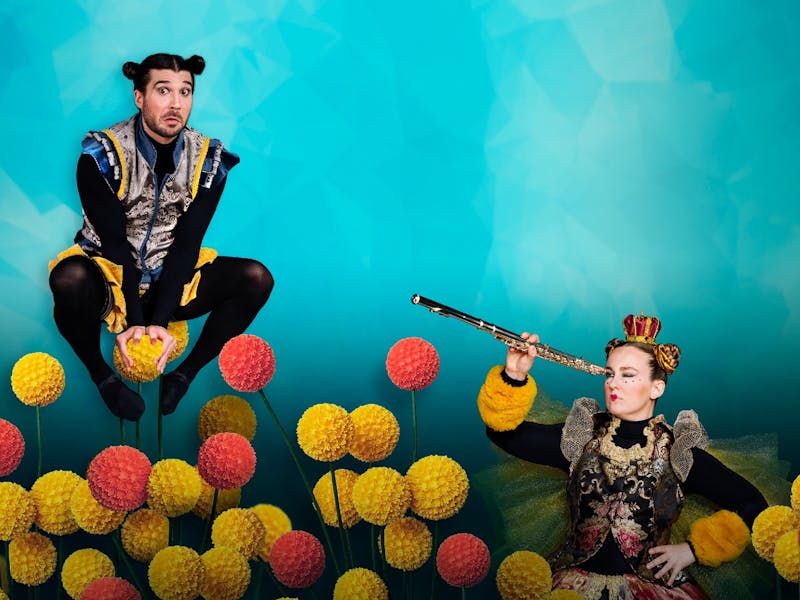Image for A Bee Story
