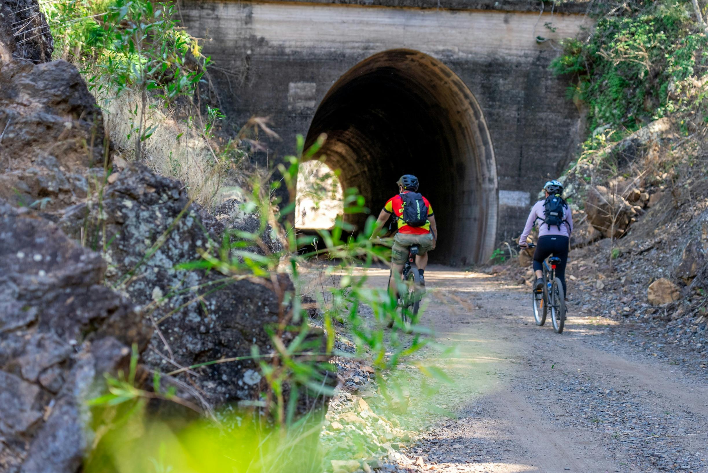 #gladstoneregiontours #gladstoneregion #southerngreatbarrierreef #thisisqueensland #seeaustralia
