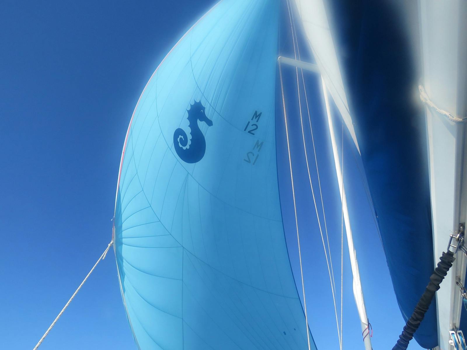 Sailing tours Bruny Island and Tasmania East Coast