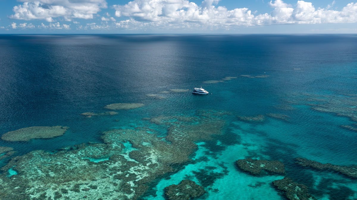 Ocean Explore at Bait Reef