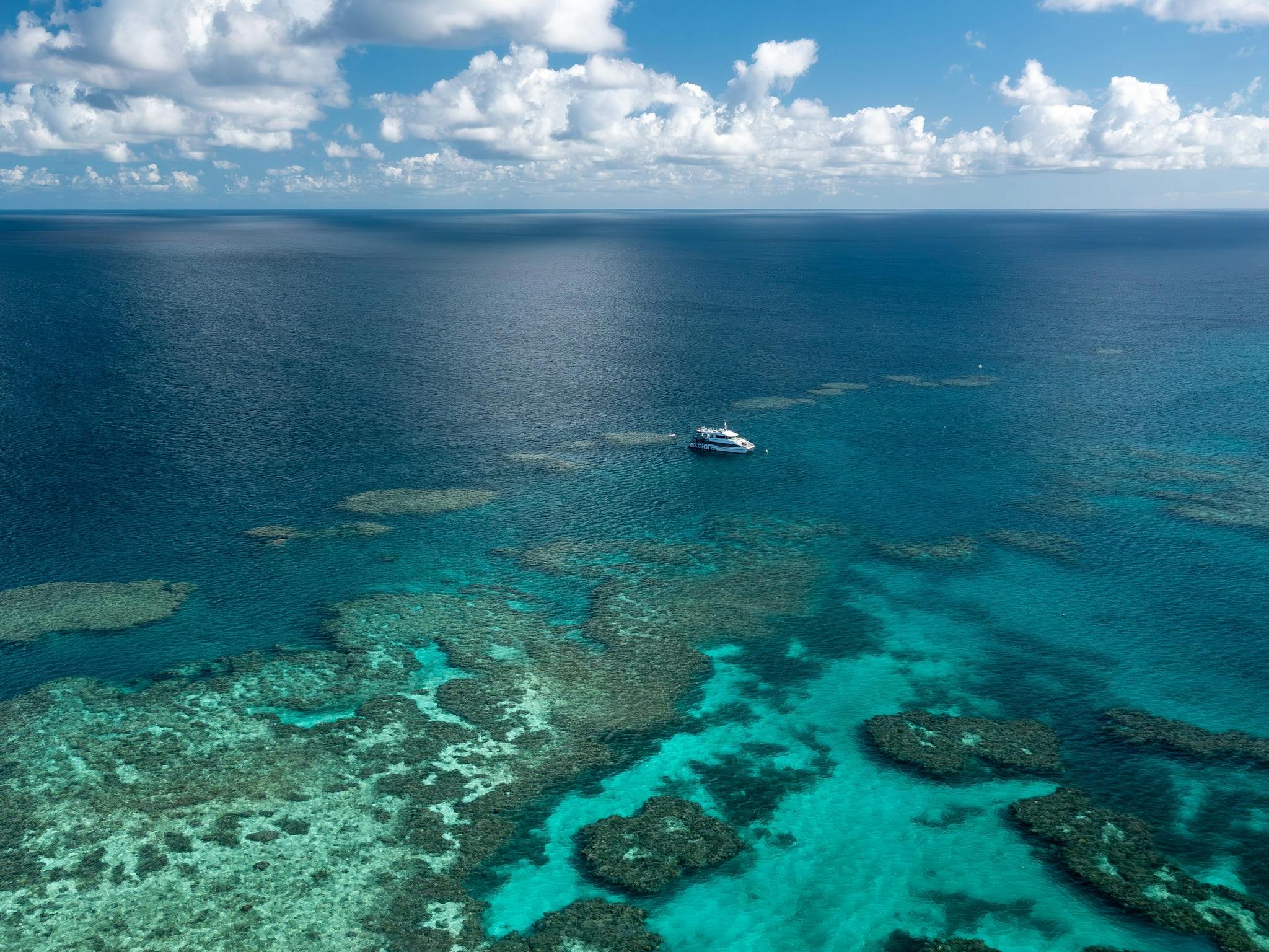 Ocean Explore at Bait Reef Ocean Explore at Bait Reef