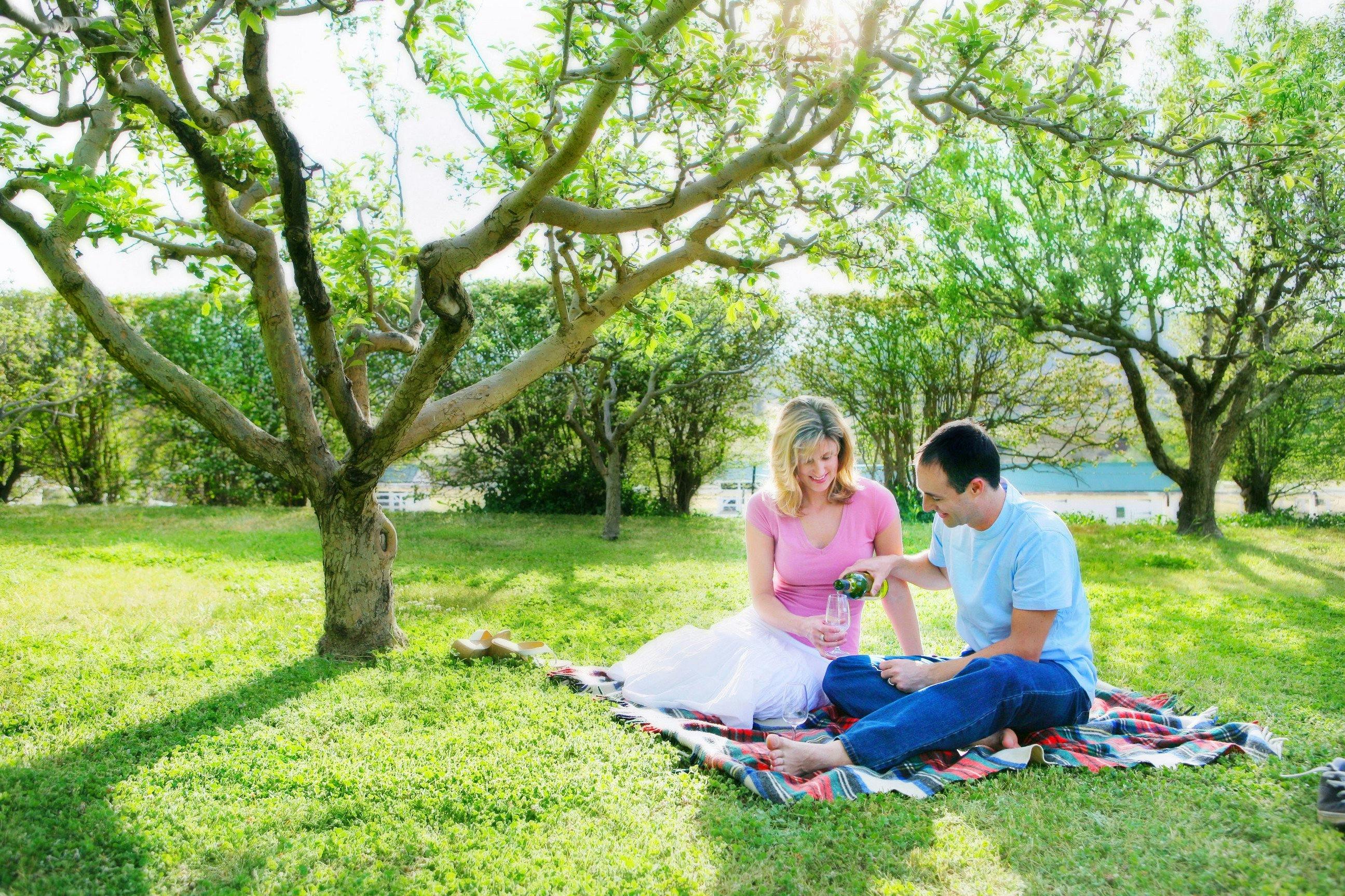 The beautiful historic gardens are perfect for a picnic