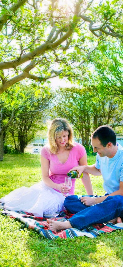 The beautiful historic gardens are perfect for a picnic