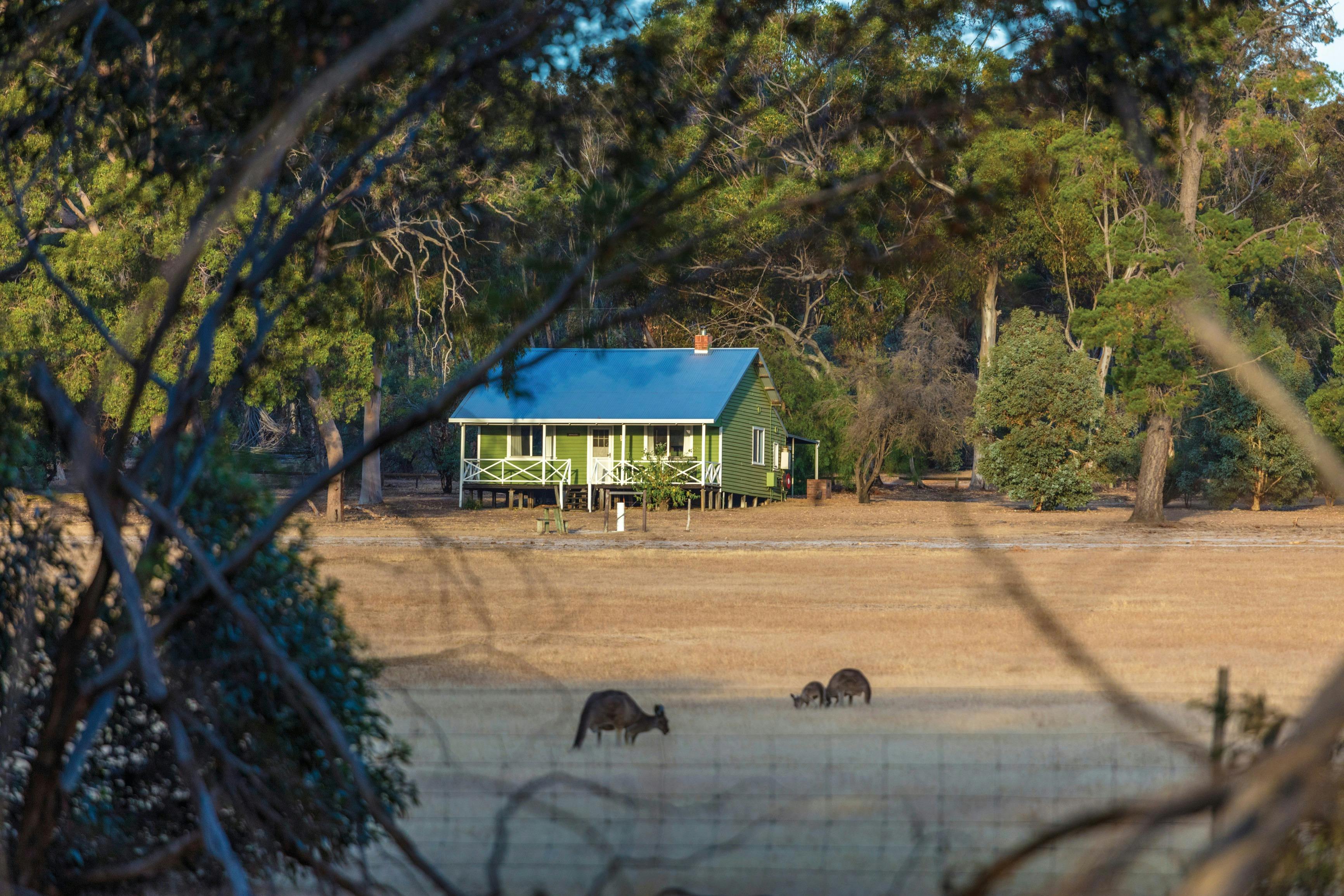 Esperance Wildflower Trail, Narrogin, Western Australia